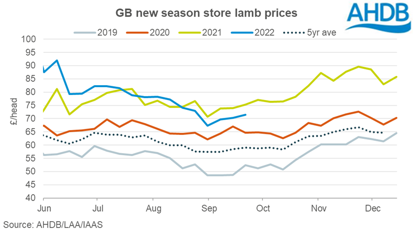 Graph showing GB store sheep prices